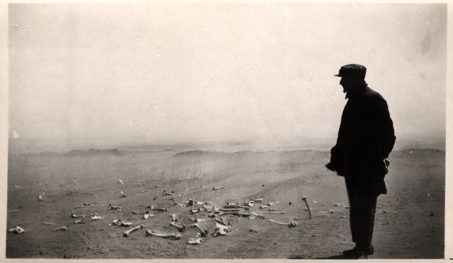 Bilden visar en man blickandes ut över sandlandskap täckt med skelettdelar.