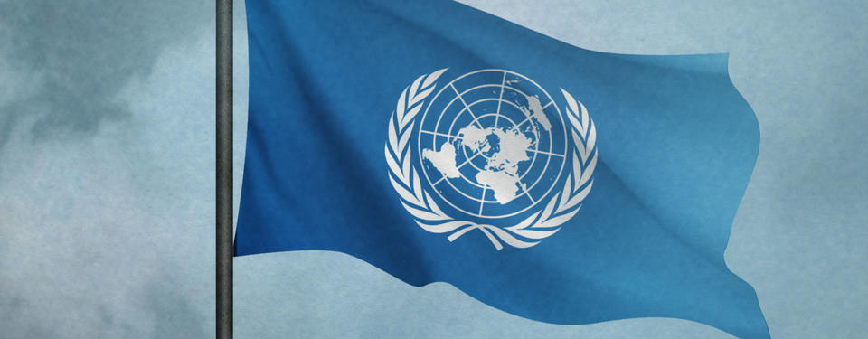 Illustration med Förenta nationernas flagga