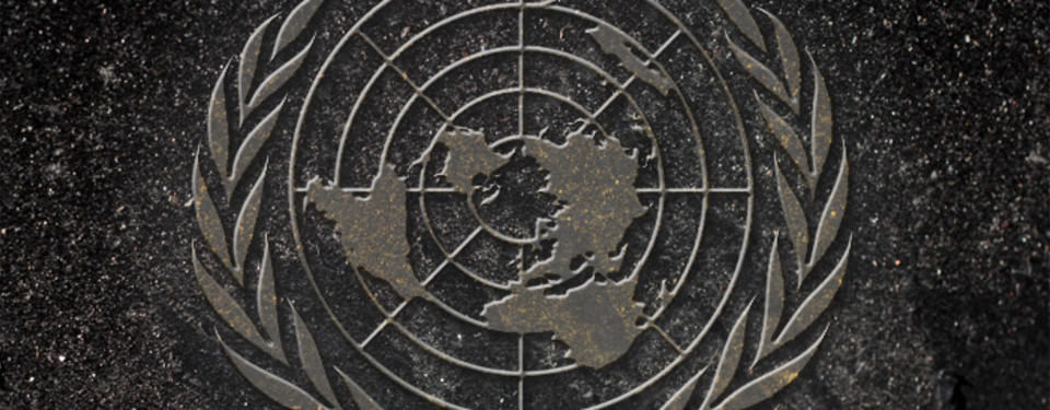 Bilden visar FN-symbolen.