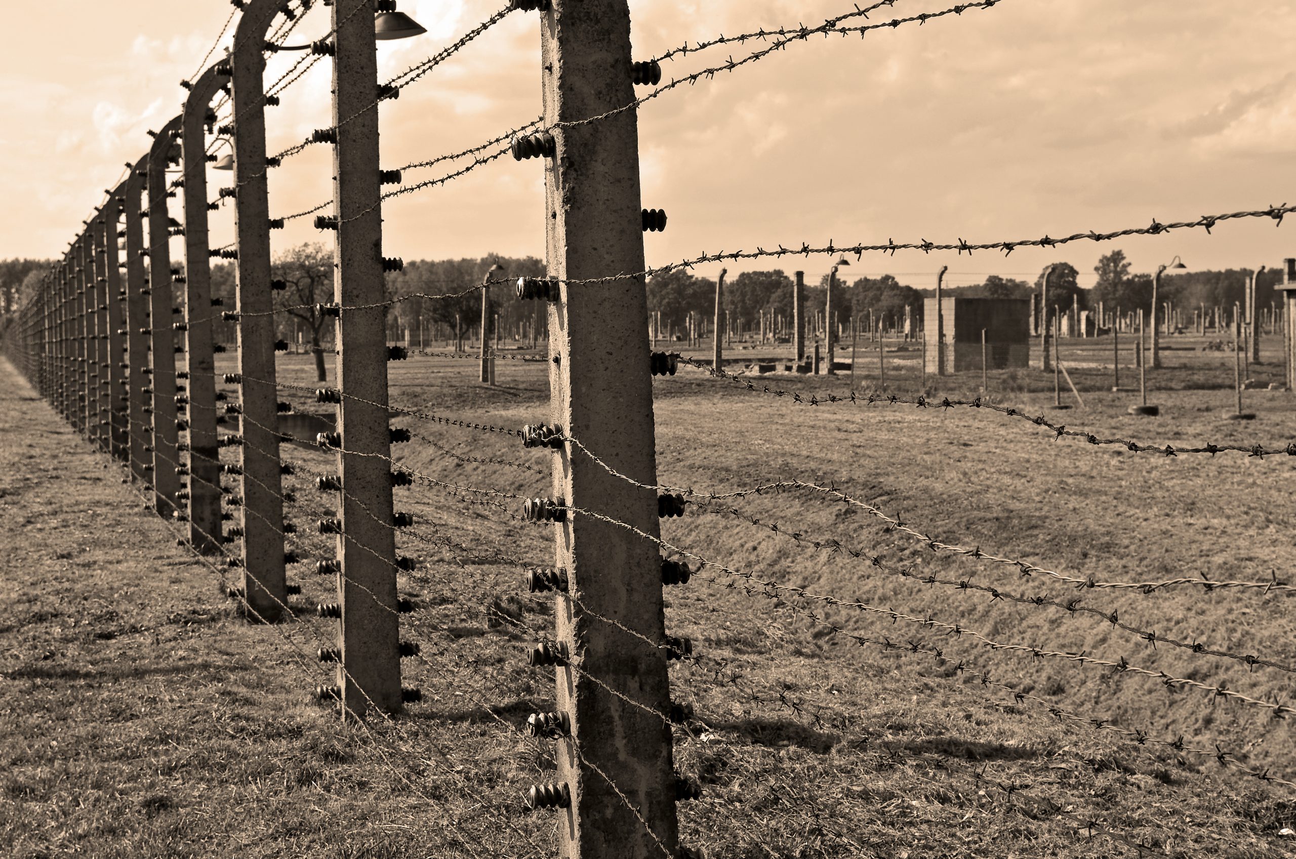 Taggtrådsstängsel vid koncentrationslägret Auschwitz Birkenau i Polen.