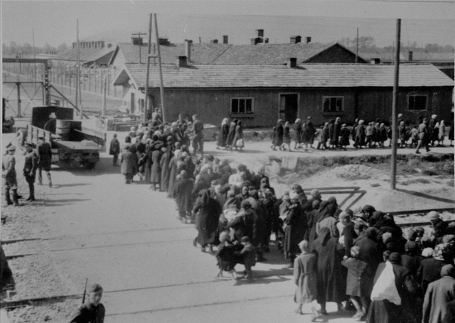 Bilden visar kvinnor och barn som valts ut för avrättning i gaskamrarna gå på led möt döden i Auschwitz