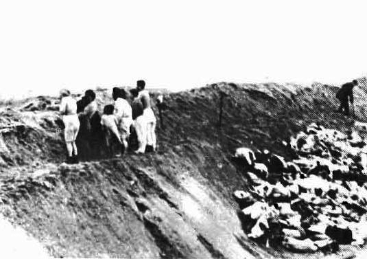 Bilden visar 7 personer på kanten av och med ryggarna mot en stor djupare grop fylld av människokroppar.
