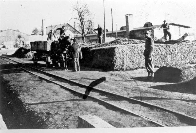 Bilden visar häst med vagn och män som lastar ur, övervakad av soldat.
