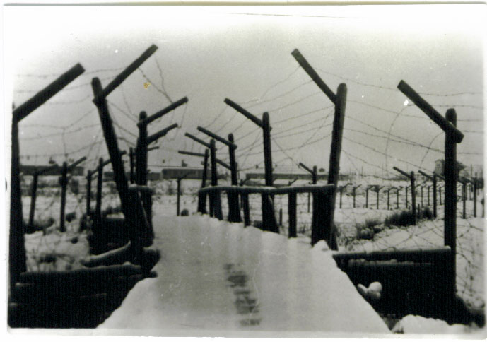 En taggtrådsomgärdad gång i vinterlandskap.