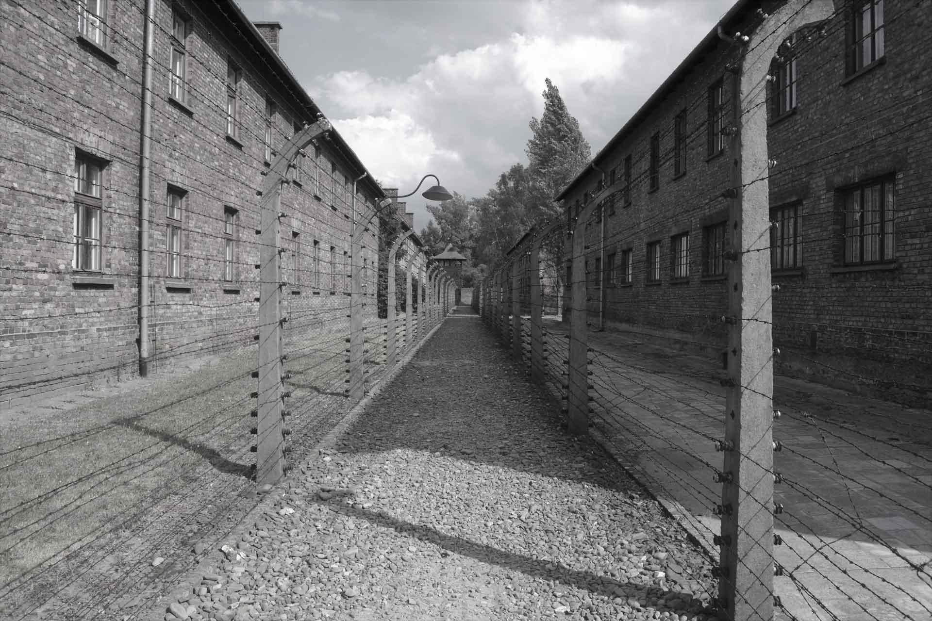 Bild på Auschwitz 1 på en gångväg i grus med taggtråd längs med sidorna.