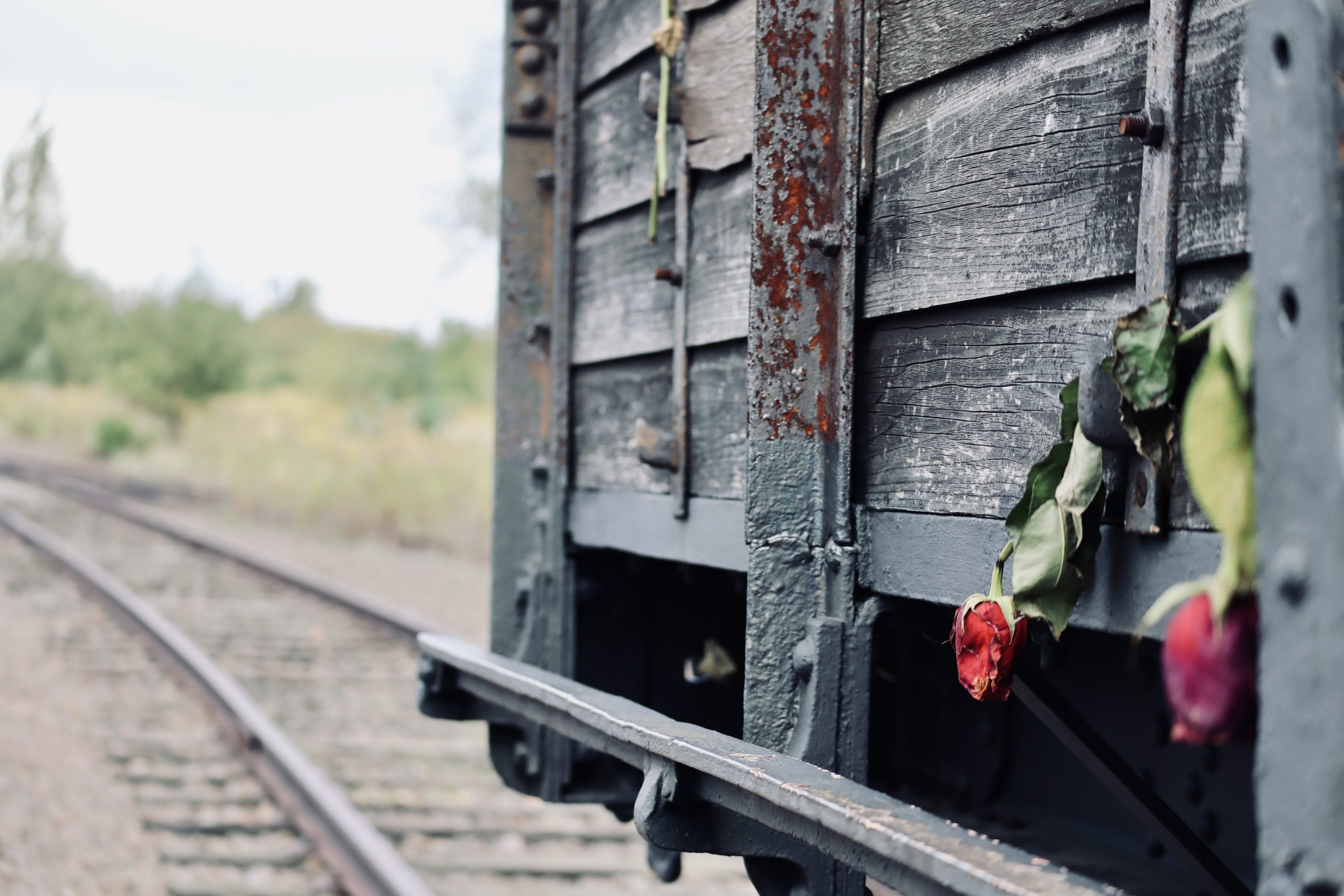 Tågvagn med rosor.
