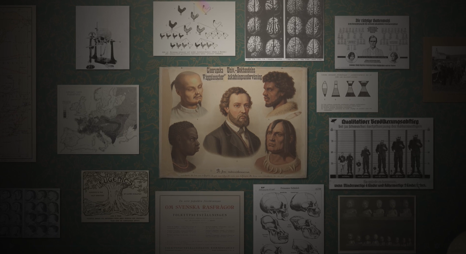 På en vägg sitter äldre bilder föreställande kranier, hjärnor och människor av olika etniska ursprung.