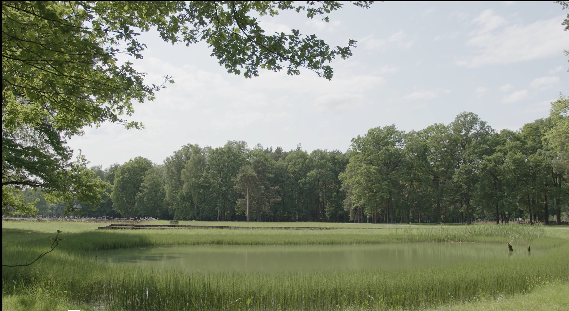 Ett grönskande landskap. Långt bak i bilden skymtar ett vakttorn.